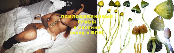 каннабис Дмитров