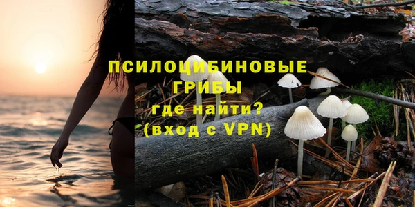 ECSTASY Дмитровск