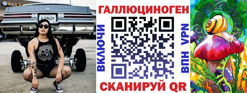 где купить наркоту  Новая Ладога  Псилоцибиновые грибы Cubensis 